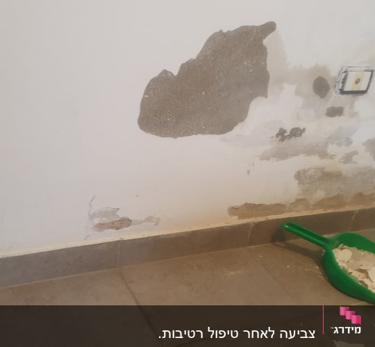 קיר עם טיח מתקלף ויעה ירוק עם שאריות טיח